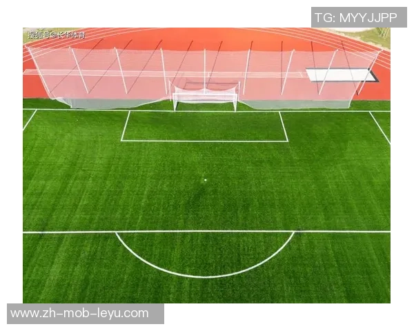 室内足球场设计与建设的基本要求及注意事项解析 室内足球场设计与建设的基本要求及注意事项解析