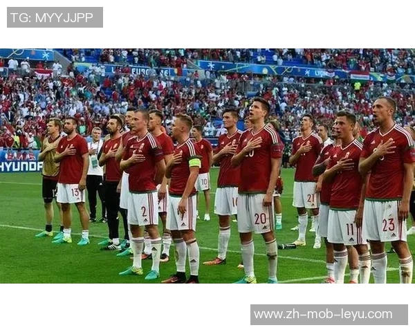 齐格足球的魅力与挑战：探索这项运动的历史发展与未来趋势